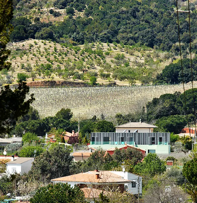 PIERA 01 1
